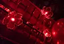 red lights