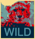 wild