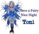 Have a Fairy Nice Night Toni