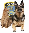 ASPCA