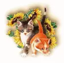 Sunflower Kittens