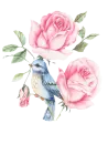 rosas