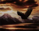 Eagle