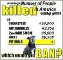 pittbulls don't kill
