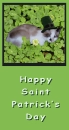 Saint Patricks day kitty poster