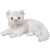 Kitty Cat