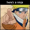 The Ninja Song! (Revised version of the Llama Song)