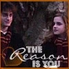 The Reason