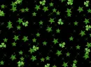 St. Patricks Day
