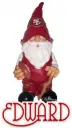49ers Gnome - Edward