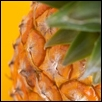 Pineaplle â™¥