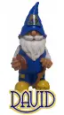 UCLA Gnome - David
