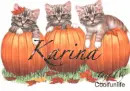 Karina kittys