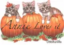 Annie loves it kitty