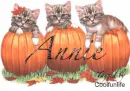 Annie kitty