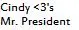 Cindy Loves Mr. President Online Icon