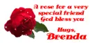 rose for friend Brenda
