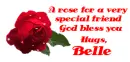 Rose BELLE