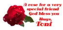 Rose TONI