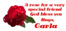 Rose CARLA