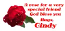 Rose CINDY