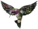 bird