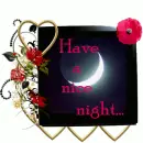 Night