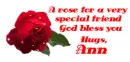 Rose ANN