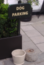 dog parking