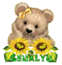 bear Genalyn 