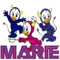 DUCKS WITH THE NAME MARIE