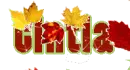 Fall Leaves