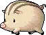 riding pig