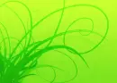 Wicked Green
