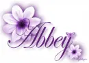 Purple Flowers - Abbey