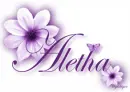 Purple Flowers - Aletha