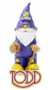 LSU Gnome - Todd