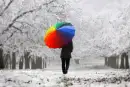 Rainbow umberella