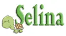 turtle selina
