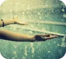 its raining...