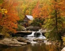 AUTUMN