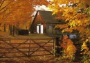 AUTUMN
