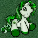 My lil Pony