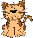 kitty