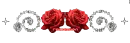 red roses with silver diamonds