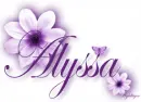 Purple Flower - Alyssa