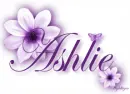 Purple Flower - Ashlie