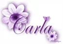 Purple Flower - Carla