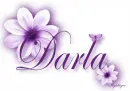 Purple Flower - Darla