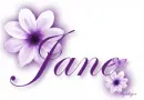 Purple Flowers - Jane